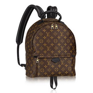 LV Backpack(AAA)-005