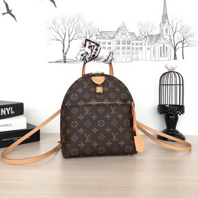 LV Backpack(AAA)-023