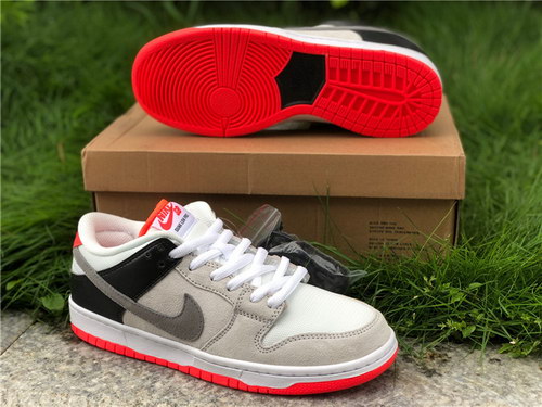 Nike Dunk SB Low Pro ISO