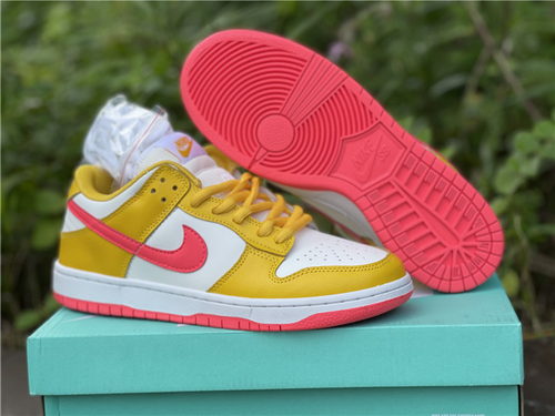 Nike SB Dunk Low-108