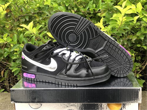 Nike SB Dunk Low-084