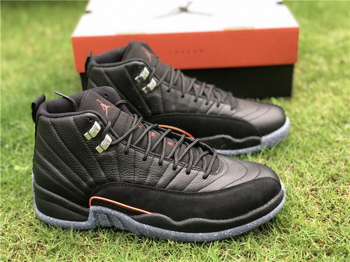 Air Jordan 12-020