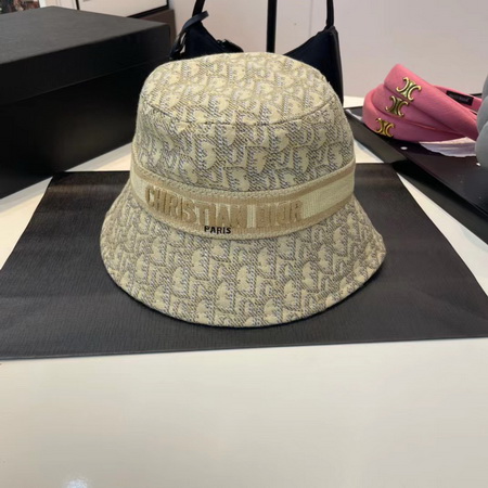 Dior Cap(AAA)-019