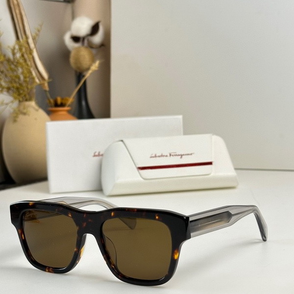 Ferragamo Sunglasses(AAAA)-315