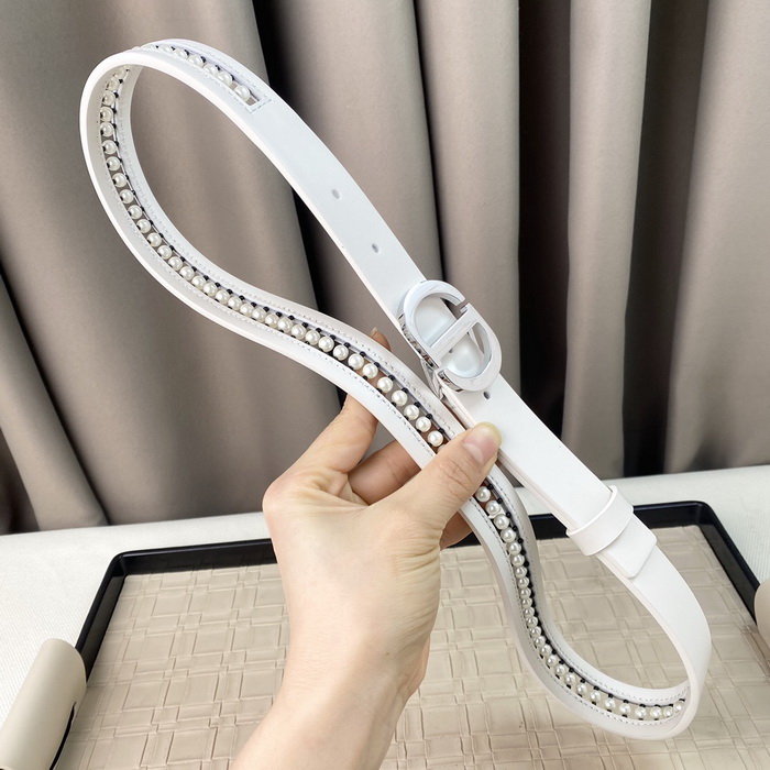 Dior Belts(AAAAA)-166