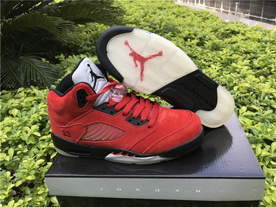 Air Jordan 5 Raging Bulls